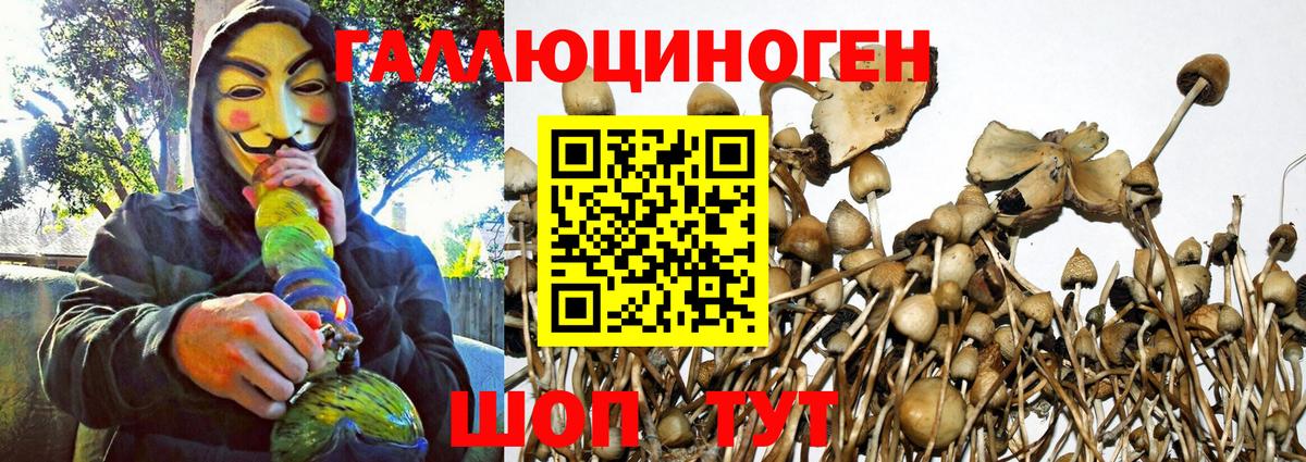 Озёрск  Гашиш  Бошки Шишки  Вход с VPN  Кодеин  ГАШ  МЕТАМФЕТАМИН  Меф МЯУ МЯУ кристаллы 