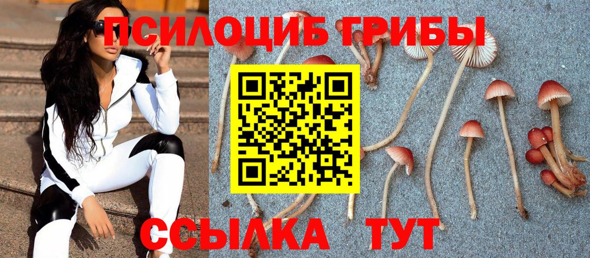 Галлюциногенные грибы Psilocybe  Галлюциногенные грибы Magic Shrooms  цена наркотик  Вход с VPN  Озёрск 